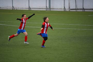 诺维茨基现身达拉斯观看科特迪瓦对阵挪威世界杯比赛（配图示意）